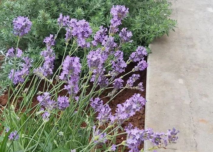 Apartman Mirjam Poreč